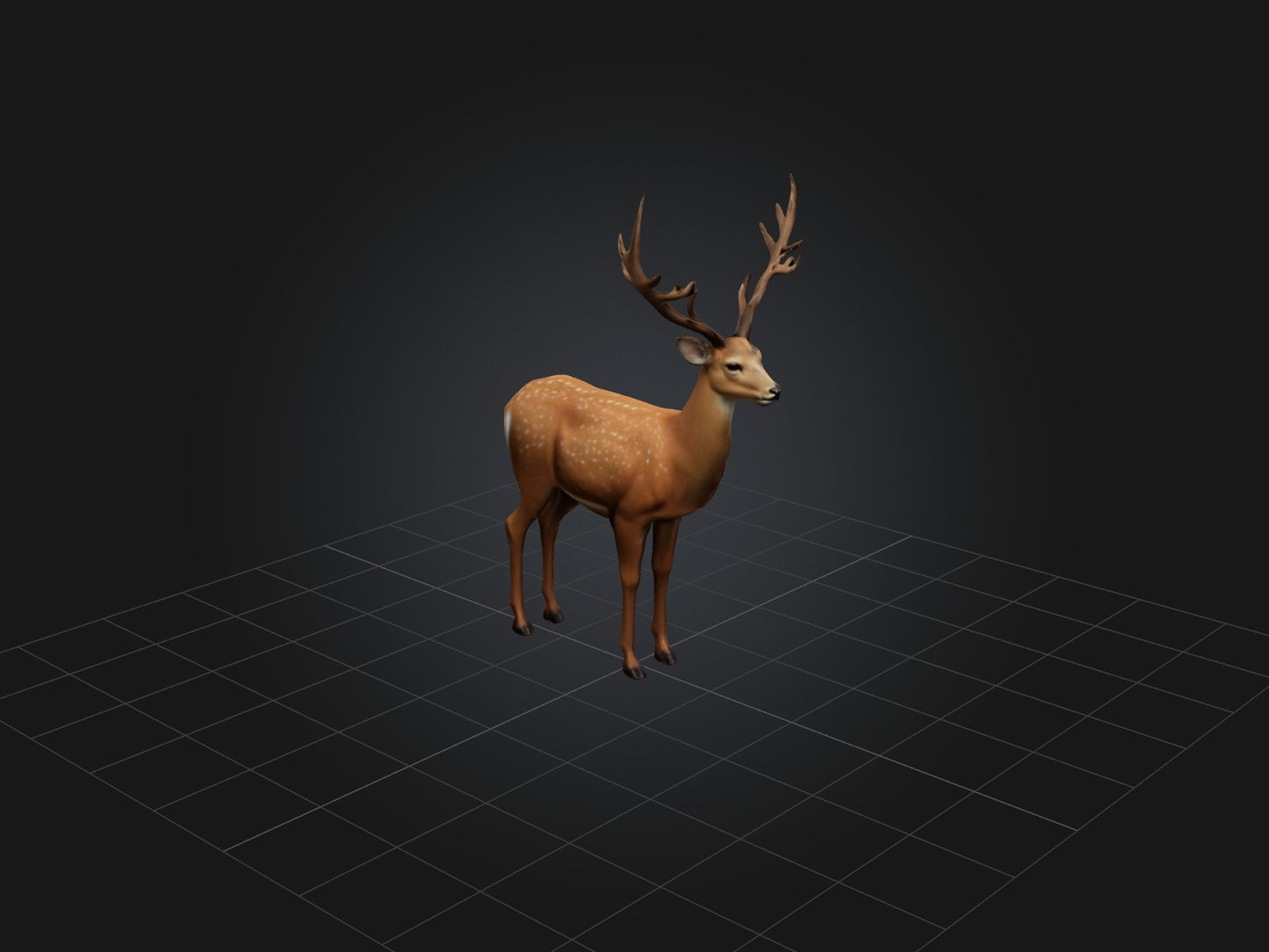 3D model Realistic Deer Model VR / AR / low-poly