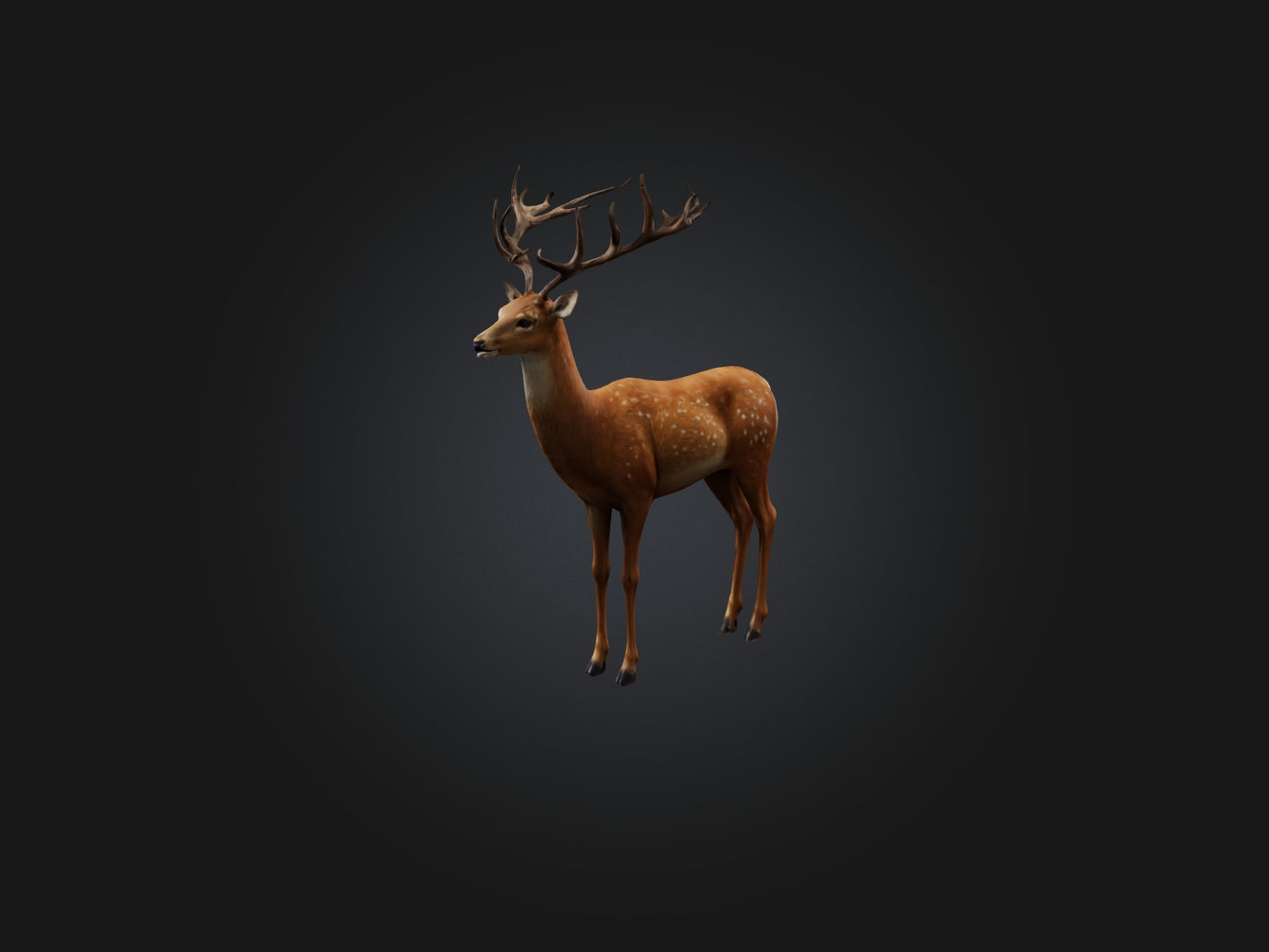 3D model Realistic Deer Model VR / AR / low-poly