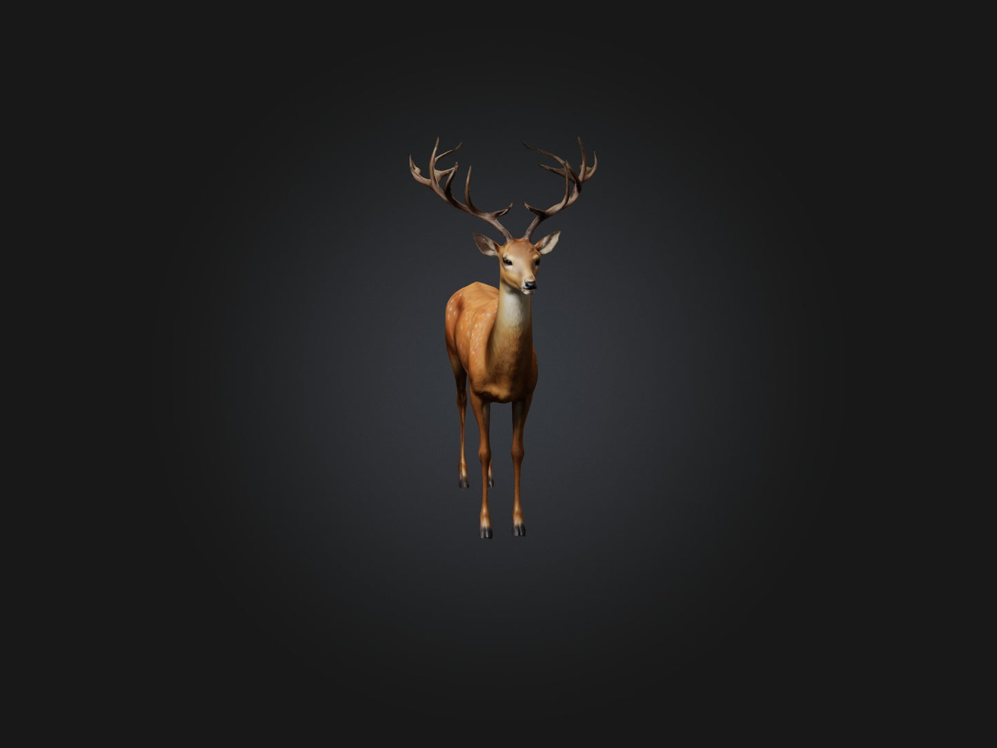 3D model Realistic Deer Model VR / AR / low-poly