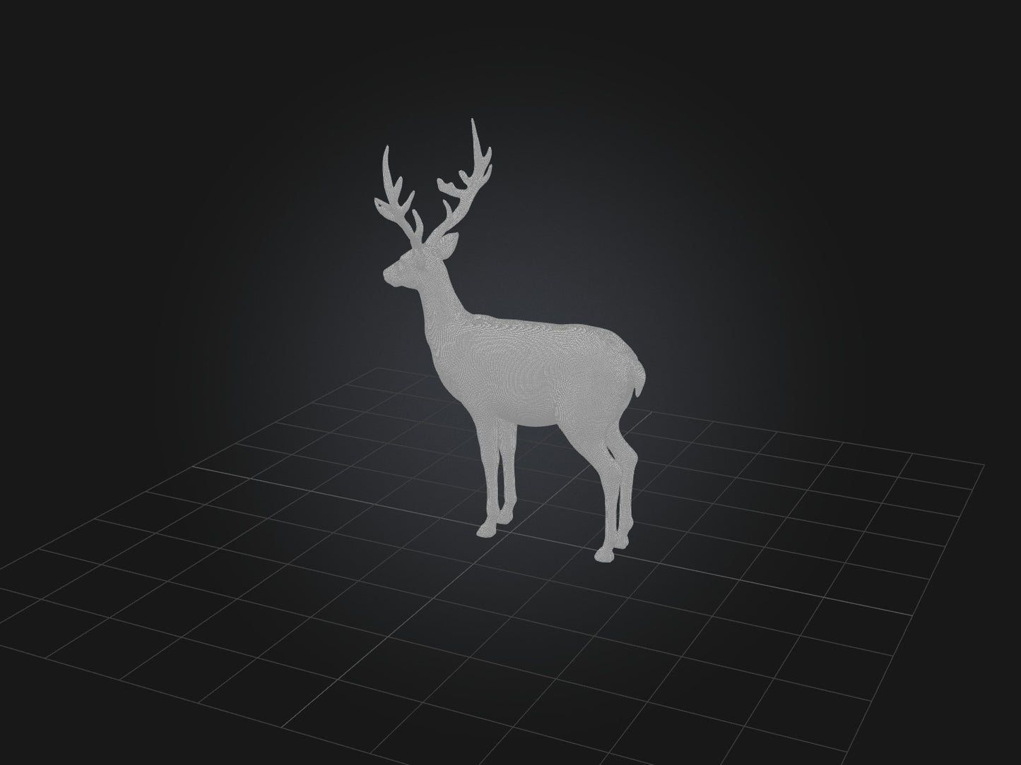 3D model Realistic Deer Model VR / AR / low-poly