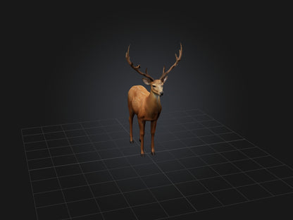3D model Realistic Deer Model VR / AR / low-poly