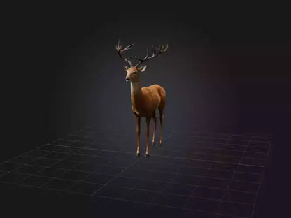 3D model Realistic Deer Model VR / AR / low-poly