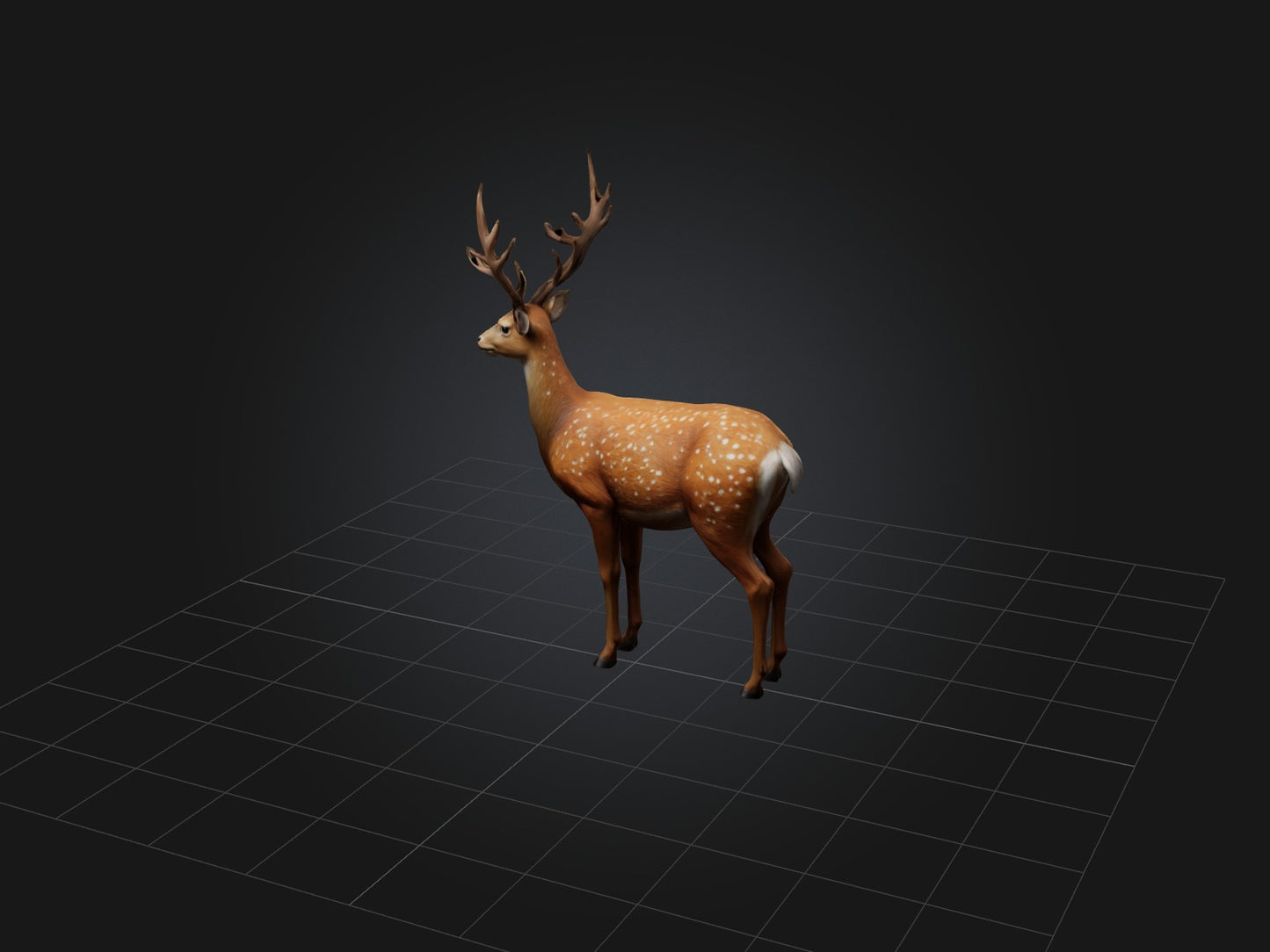 3D model Realistic Deer Model VR / AR / low-poly