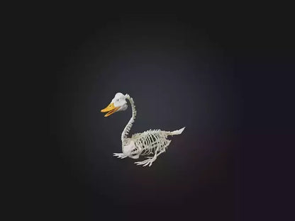 3D model Realistic Duck Skeleton Model VR / AR / low-poly