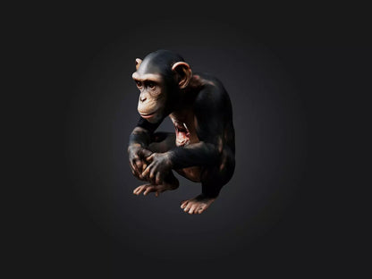 3D model Realistic Hurt Chimpanzee Model VR / AR / low-poly