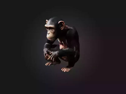 3D model Realistic Hurt Chimpanzee Model VR / AR / low-poly