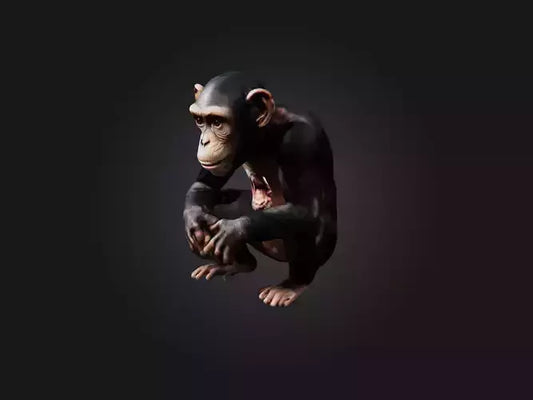 3D model Realistic Hurt Chimpanzee Model VR / AR / low-poly