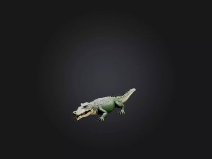 3D model Realistic Hurt Crocodile Model VR / AR / low-poly