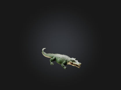 3D model Realistic Hurt Crocodile Model VR / AR / low-poly