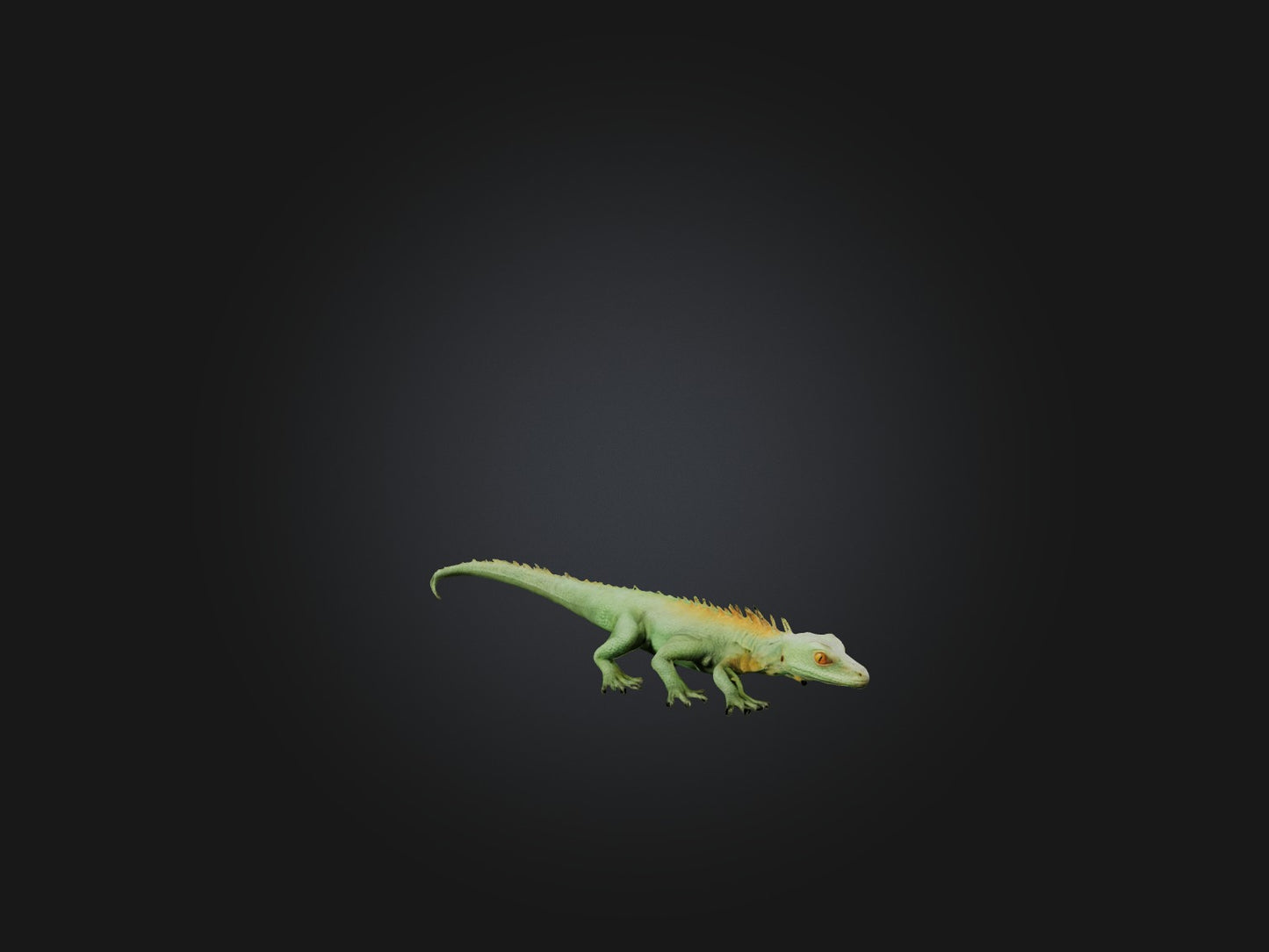 3D model Realistic Lizard Model VR / AR / low-poly