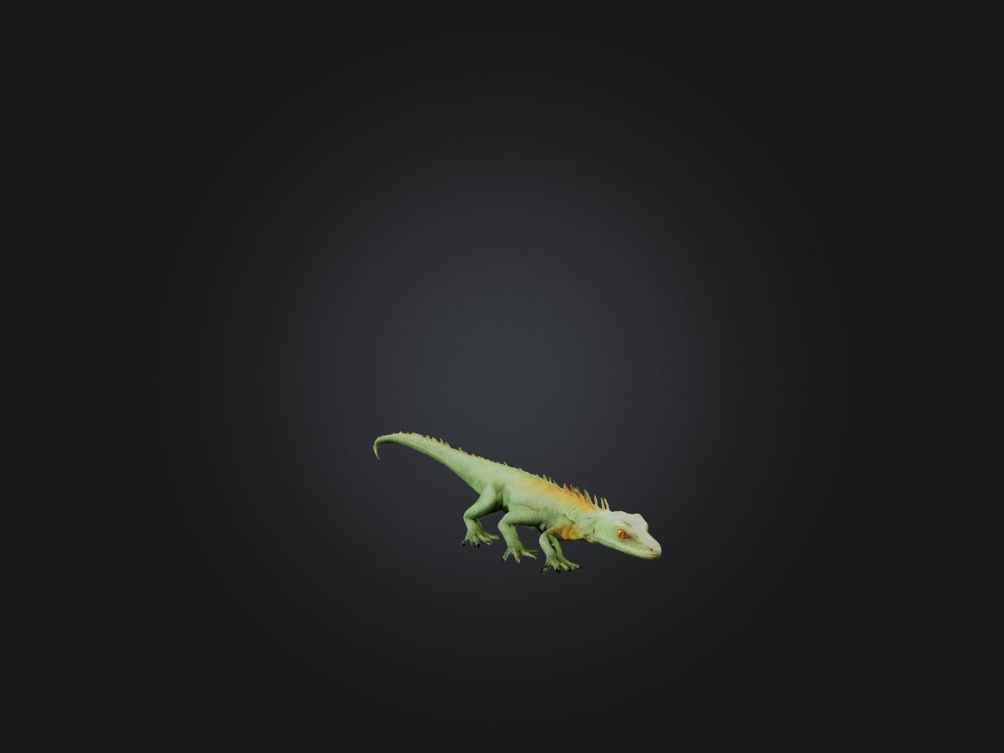3D model Realistic Lizard Model VR / AR / low-poly