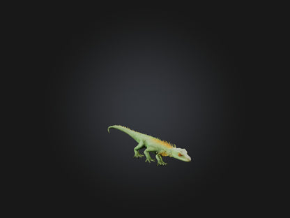 3D model Realistic Lizard Model VR / AR / low-poly