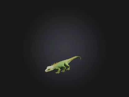 3D model Realistic Lizard Model VR / AR / low-poly