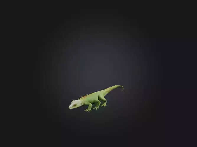 3D model Realistic Lizard Model VR / AR / low-poly