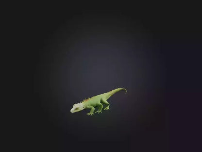3D model Realistic Lizard Model VR / AR / low-poly