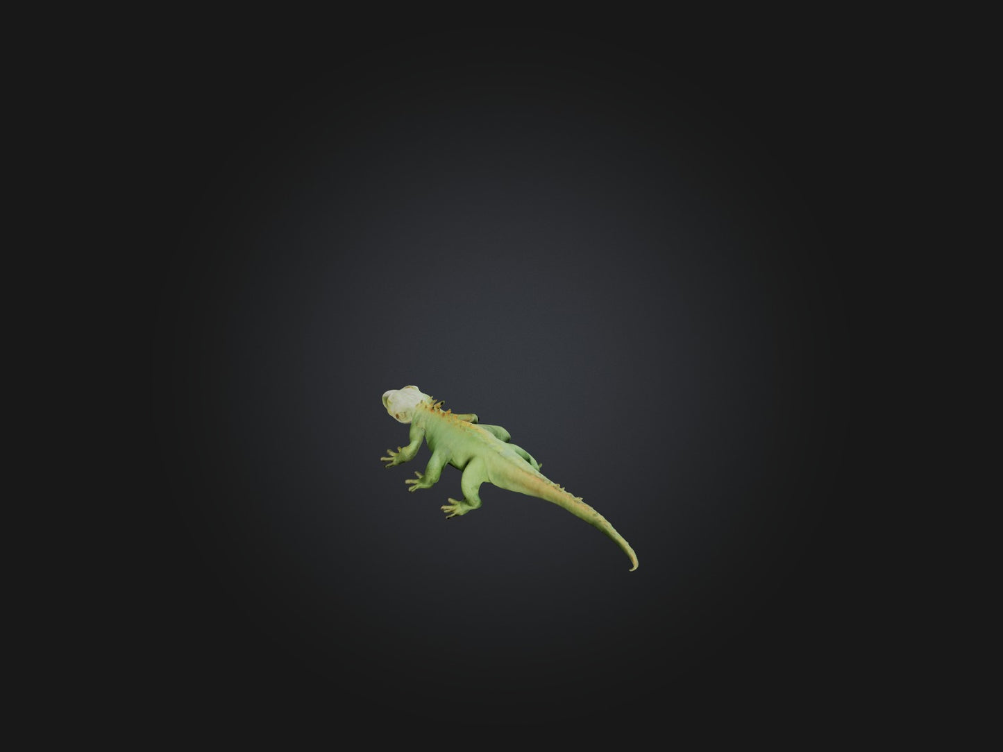 3D model Realistic Lizard Model VR / AR / low-poly