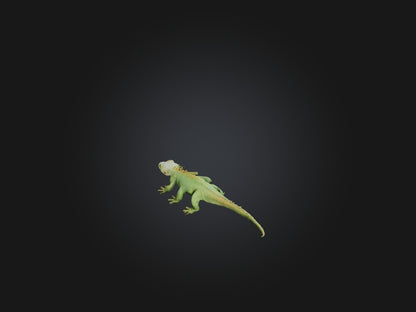 3D model Realistic Lizard Model VR / AR / low-poly
