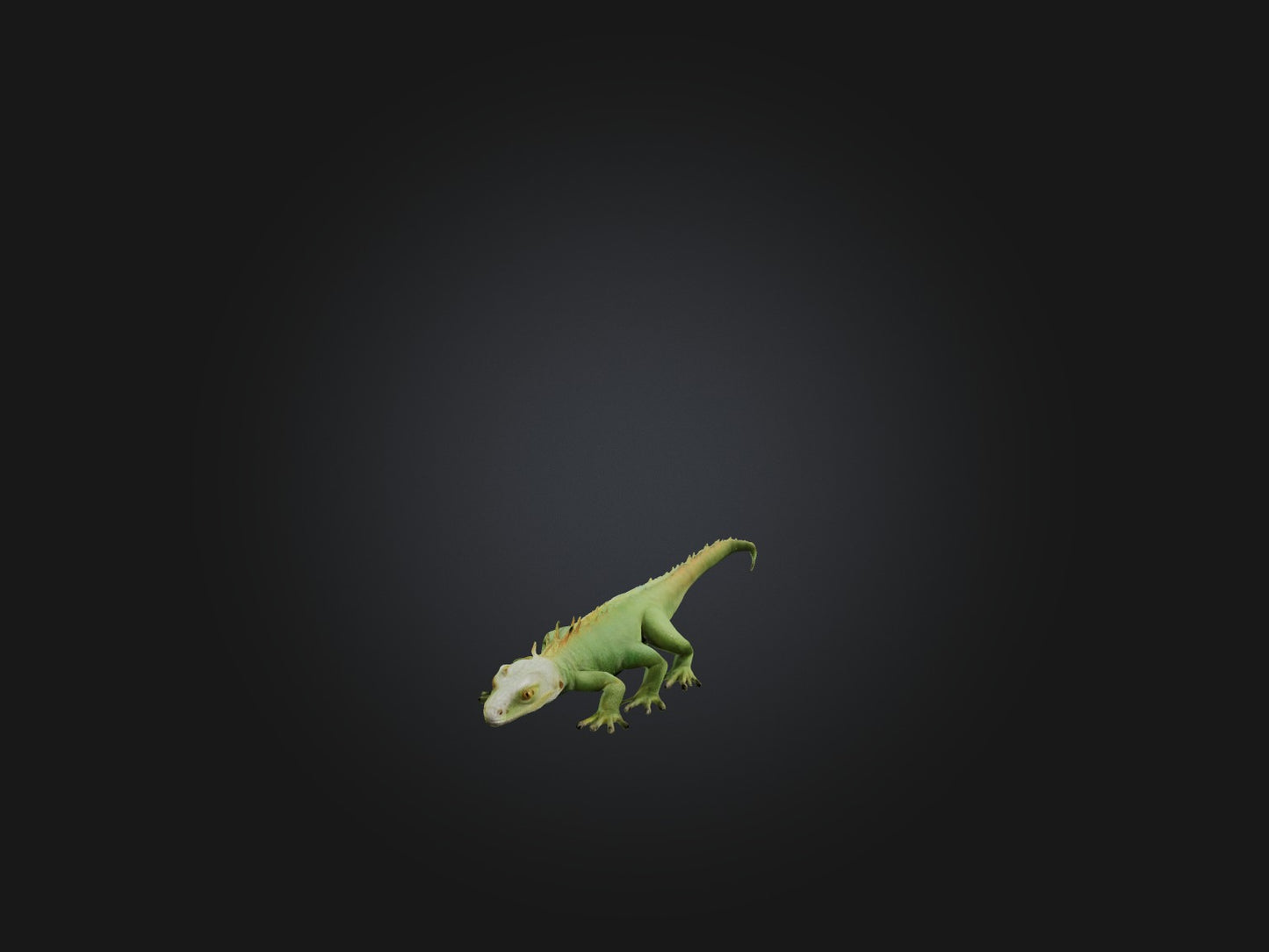3D model Realistic Lizard Model VR / AR / low-poly