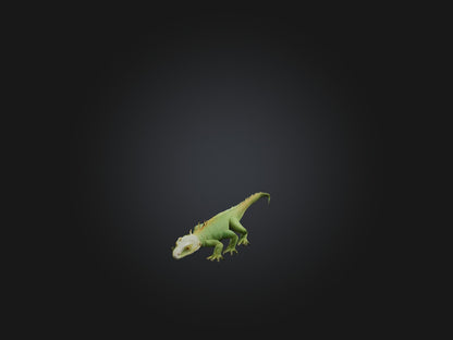 3D model Realistic Lizard Model VR / AR / low-poly