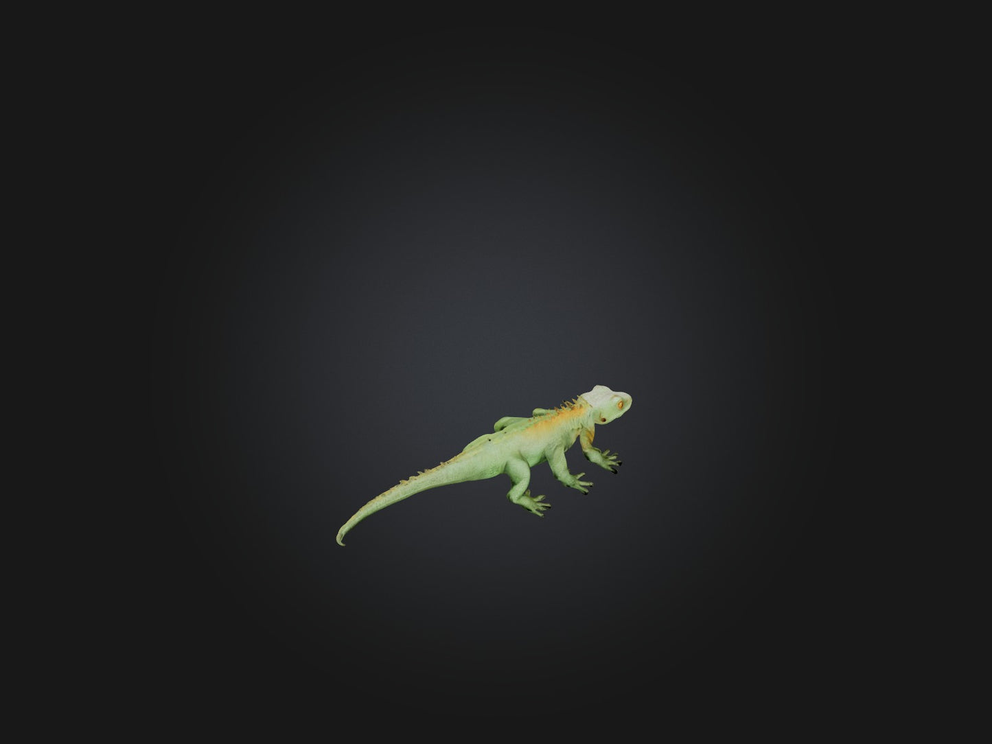 3D model Realistic Lizard Model VR / AR / low-poly