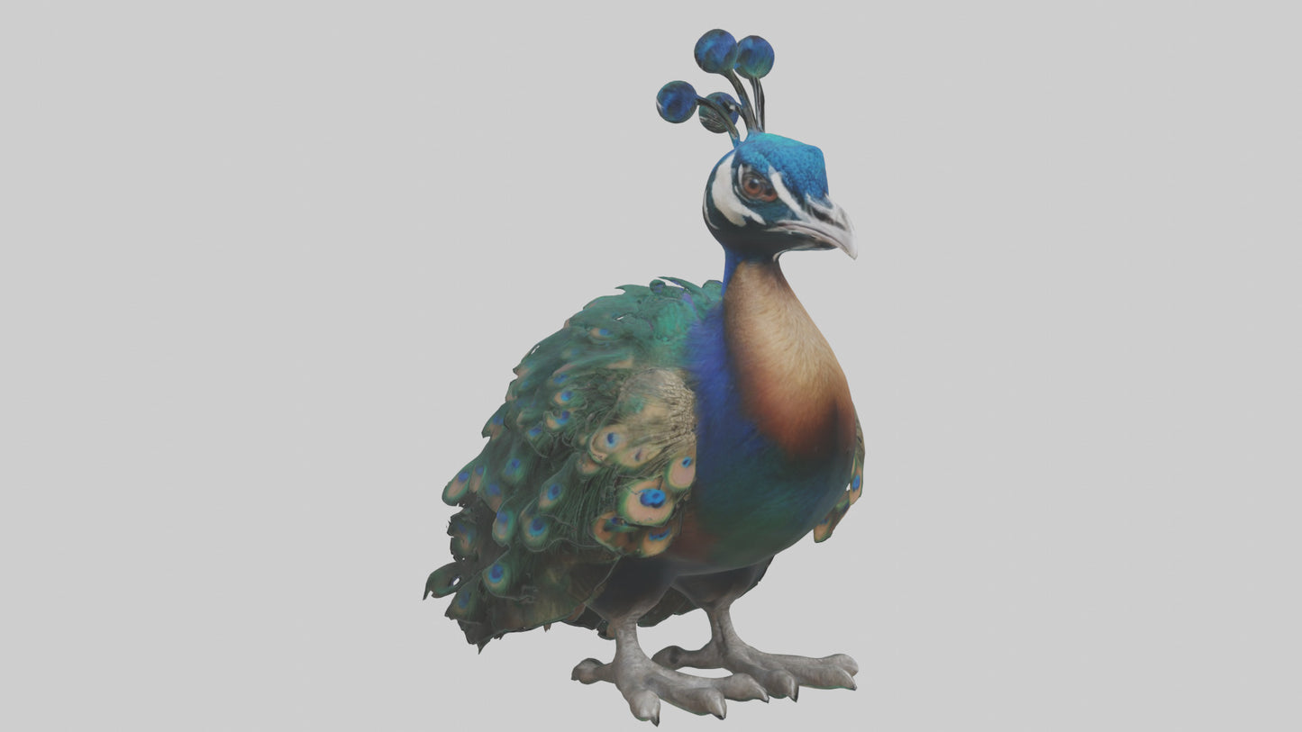 3D model Realistic Pteranodon Model VR / AR / low-poly