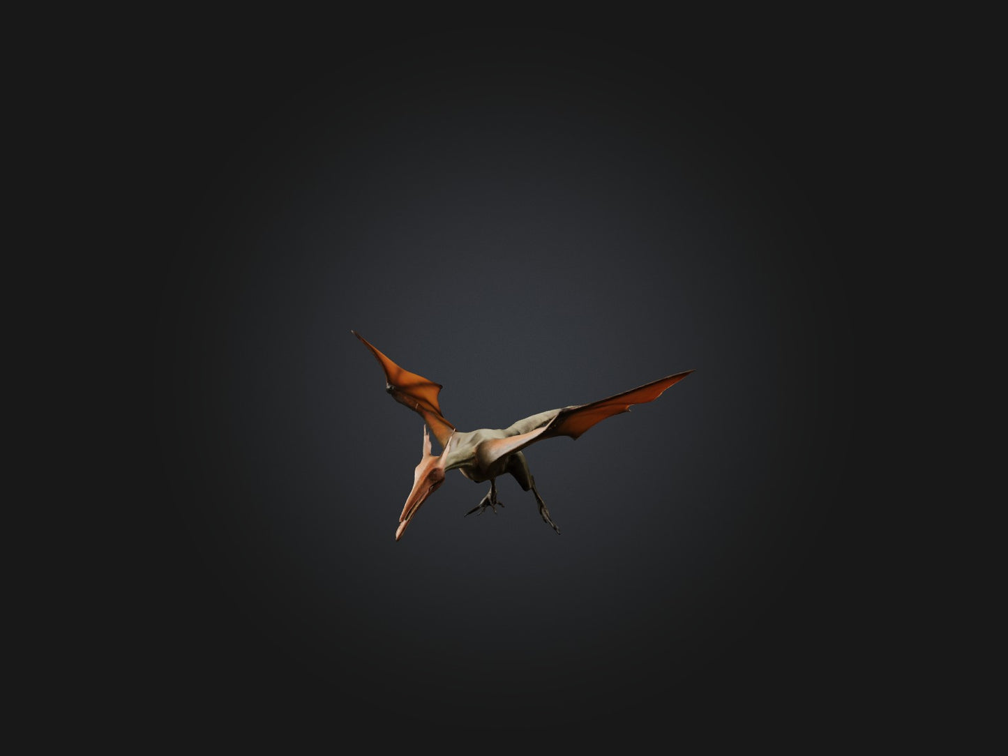 3D model Realistic Pteranodon Model VR / AR / low-poly