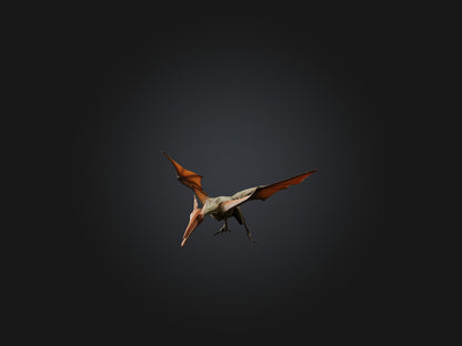 3D model Realistic Pteranodon Model VR / AR / low-poly