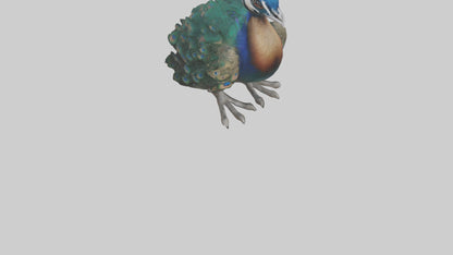 3D model Realistic Pteranodon Model VR / AR / low-poly