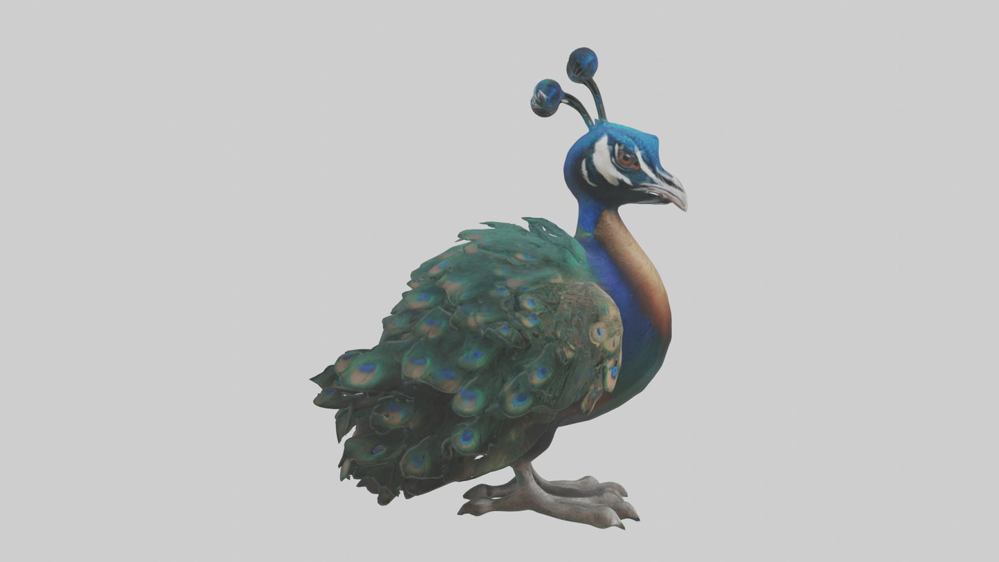 3D model Realistic Pteranodon Model VR / AR / low-poly