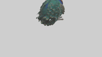 3D model Realistic Pteranodon Model VR / AR / low-poly