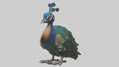 3D model Realistic Pteranodon Model VR / AR / low-poly