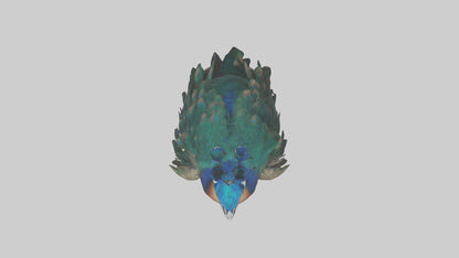 3D model Realistic Pteranodon Model VR / AR / low-poly