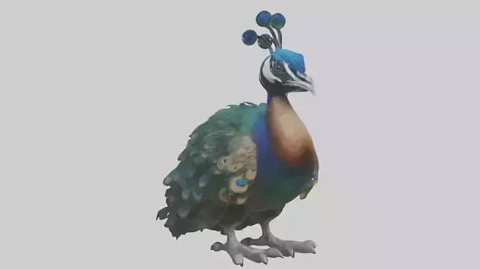 3D model Realistic Pteranodon Model VR / AR / low-poly