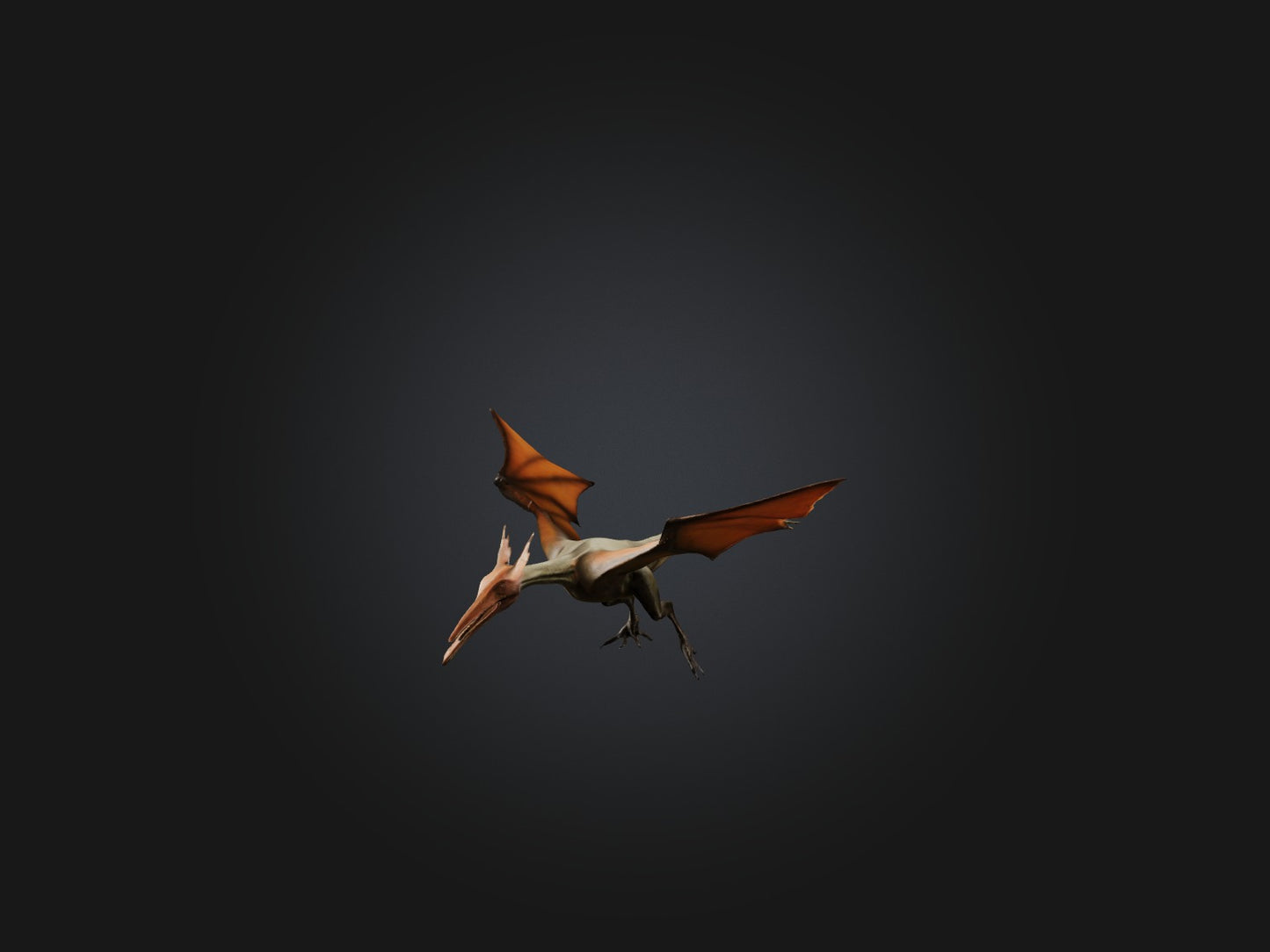 3D model Realistic Pteranodon Model VR / AR / low-poly