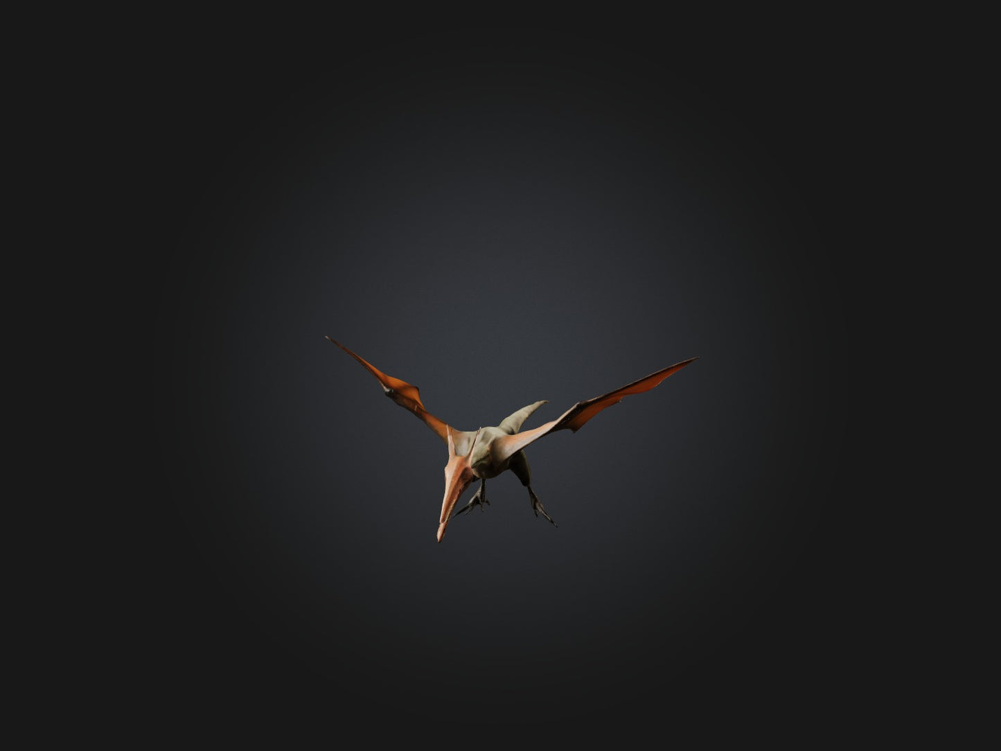 3D model Realistic Pteranodon Model VR / AR / low-poly