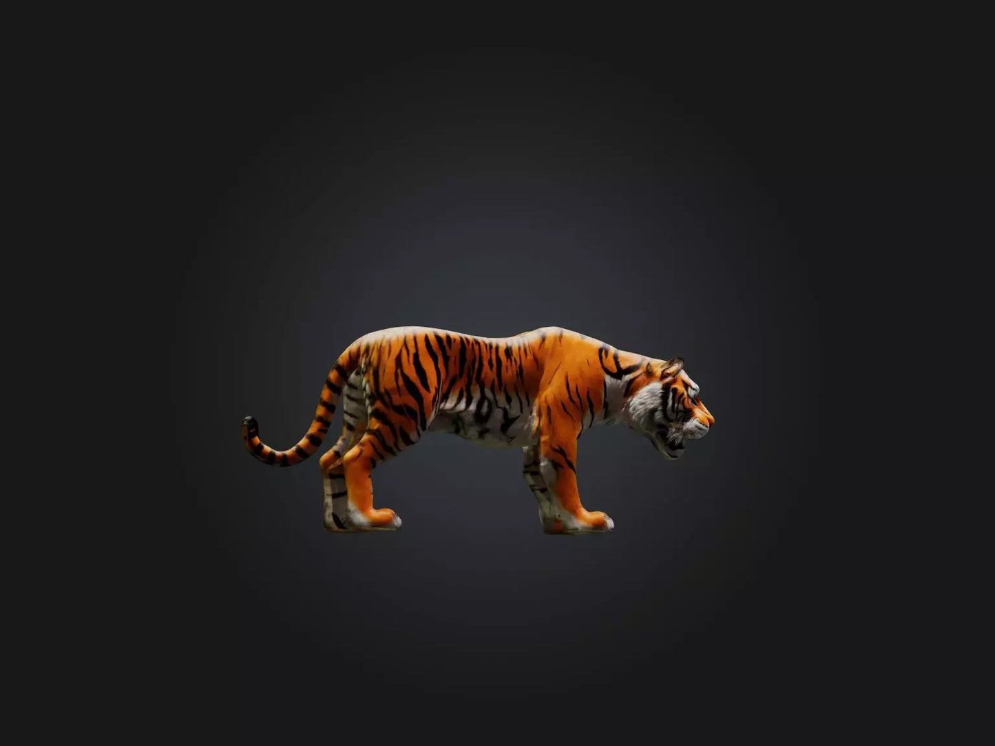 3D model Realistic Tiger VR / AR / low-poly