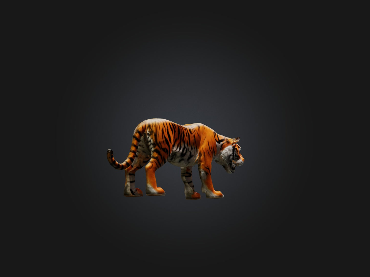 3D model Realistic Tiger VR / AR / low-poly