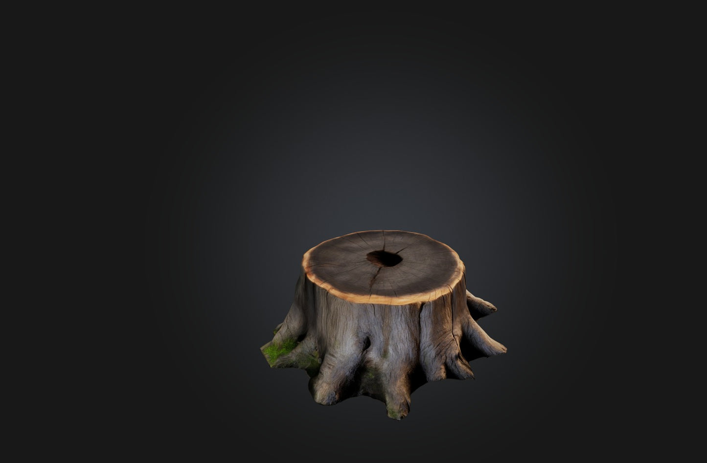 3D model Realistic Tree Stump VR / AR / low-poly