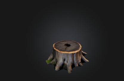 3D model Realistic Tree Stump VR / AR / low-poly