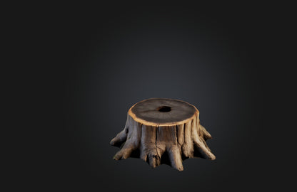 3D model Realistic Tree Stump VR / AR / low-poly