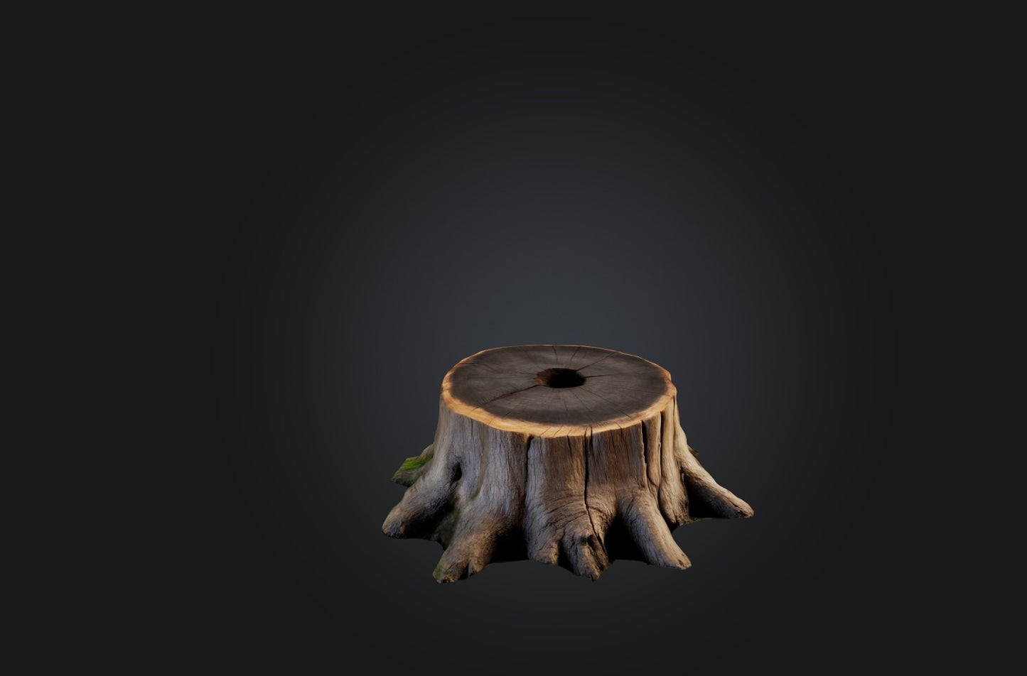 3D model Realistic Tree Stump VR / AR / low-poly