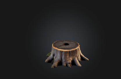 3D model Realistic Tree Stump VR / AR / low-poly