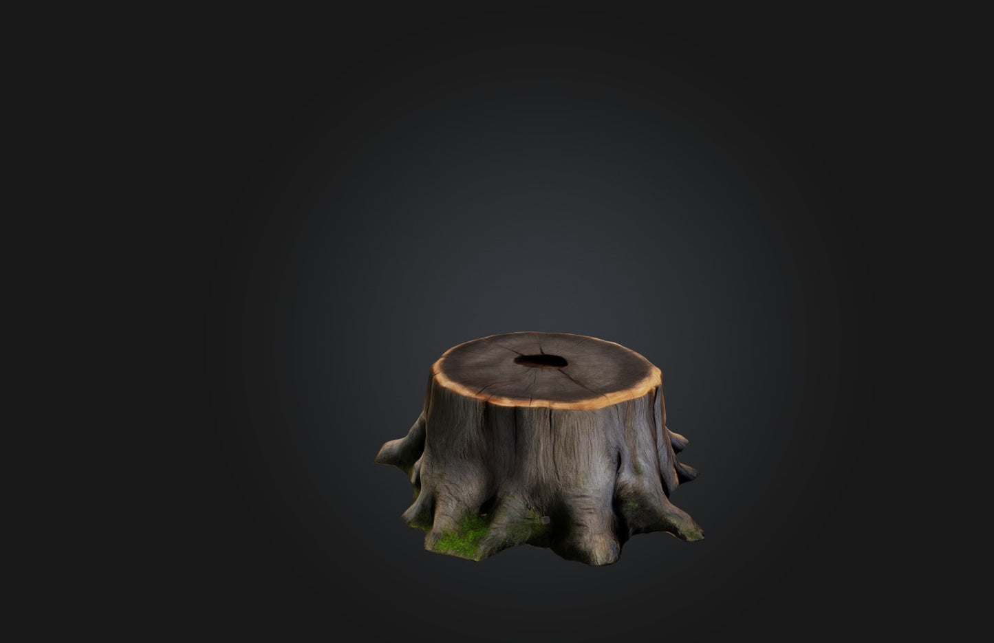 3D model Realistic Tree Stump VR / AR / low-poly