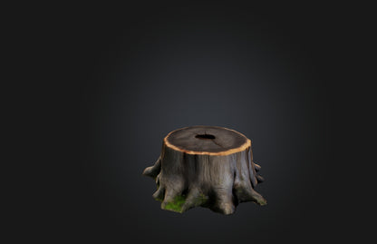 3D model Realistic Tree Stump VR / AR / low-poly