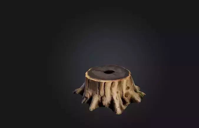 3D model Realistic Tree Stump VR / AR / low-poly