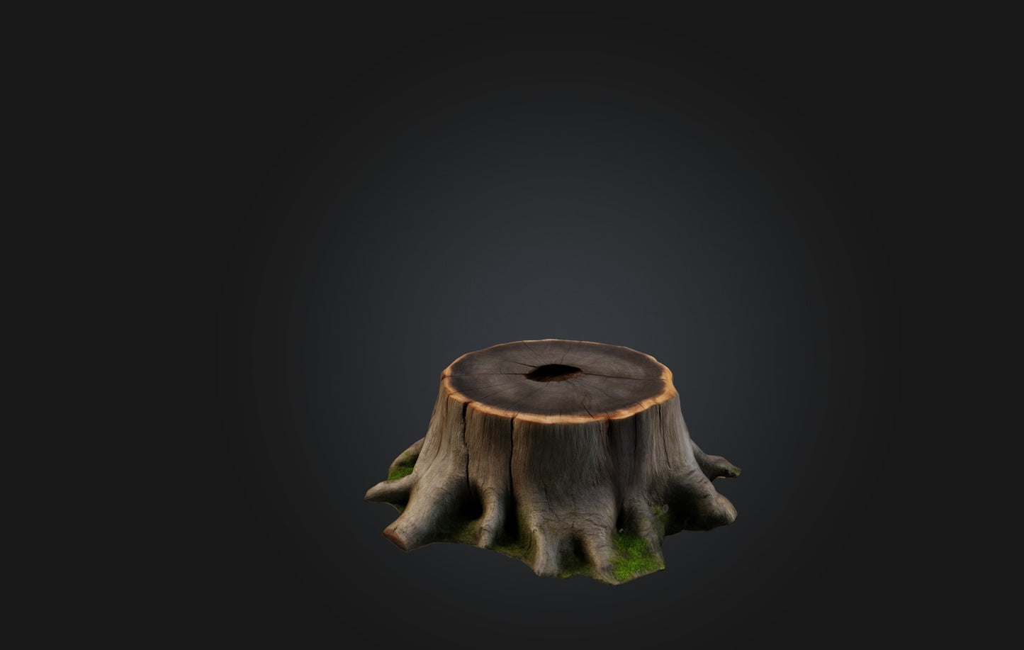 3D model Realistic Tree Stump VR / AR / low-poly