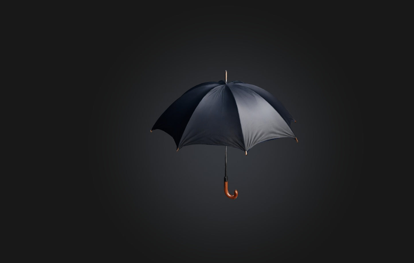 3D model Realistic Umbrella VR / AR / low-poly