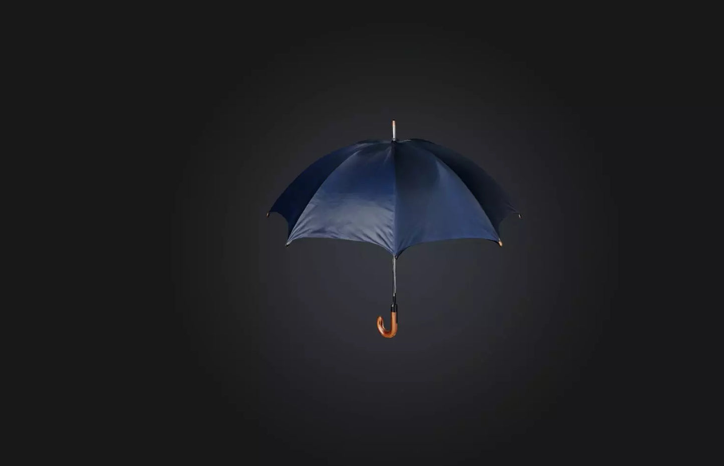 3D model Realistic Umbrella VR / AR / low-poly