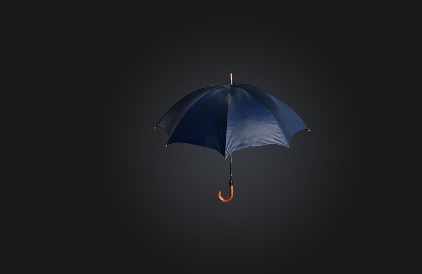 3D model Realistic Umbrella VR / AR / low-poly