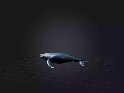 3D model Realistic Whale Model VR / AR / low-poly